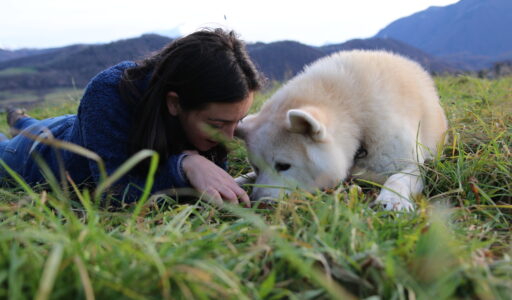 Educ-inu c'est l'envie de partager avec votre chien et de regarder dans le même direction
